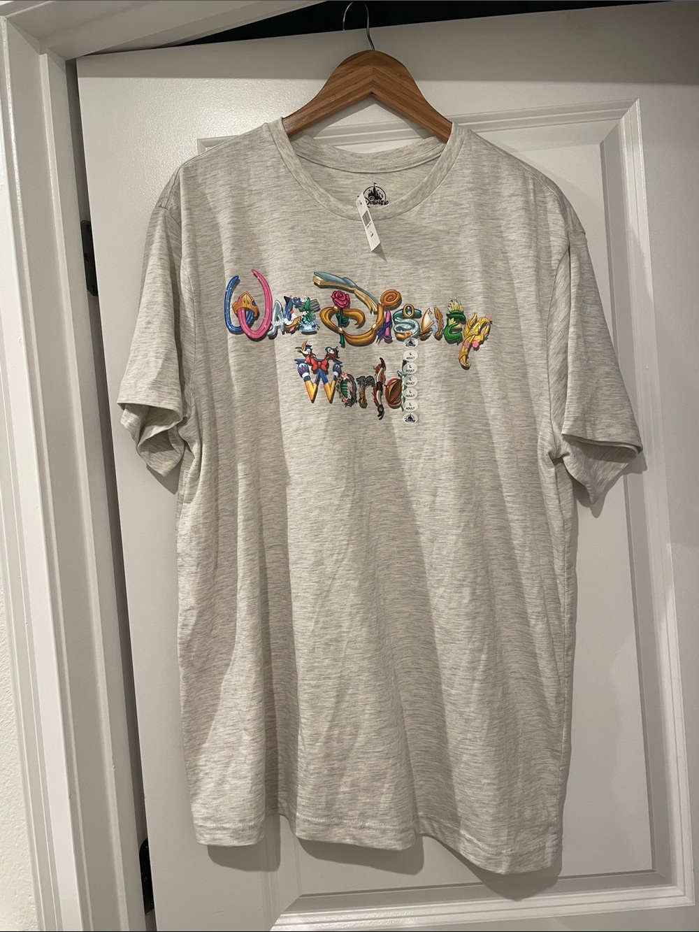Disney parks tee Walt Disney world princess theme large nwt